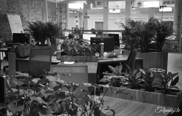 Scandiweb office