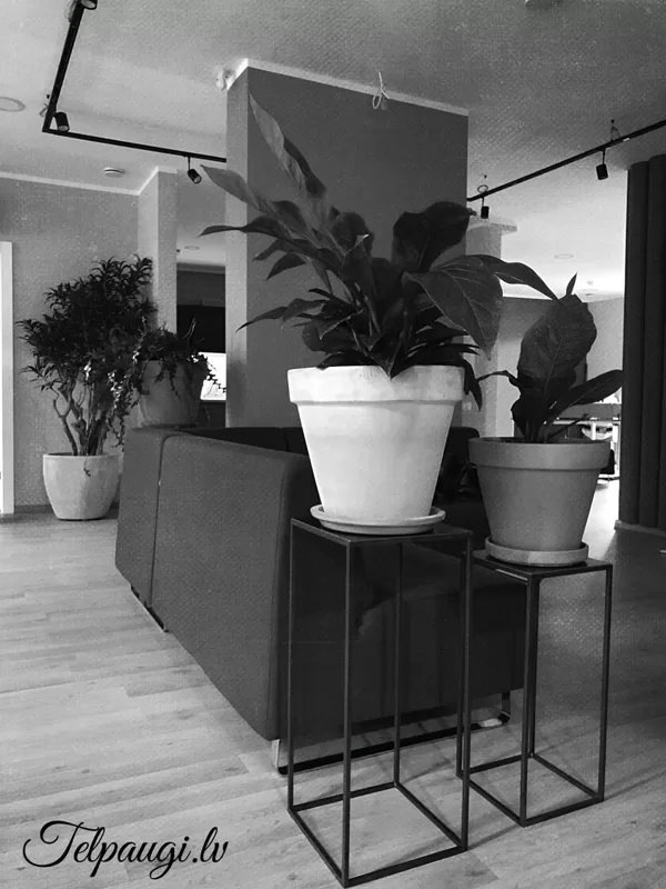 Viensviens.lv office