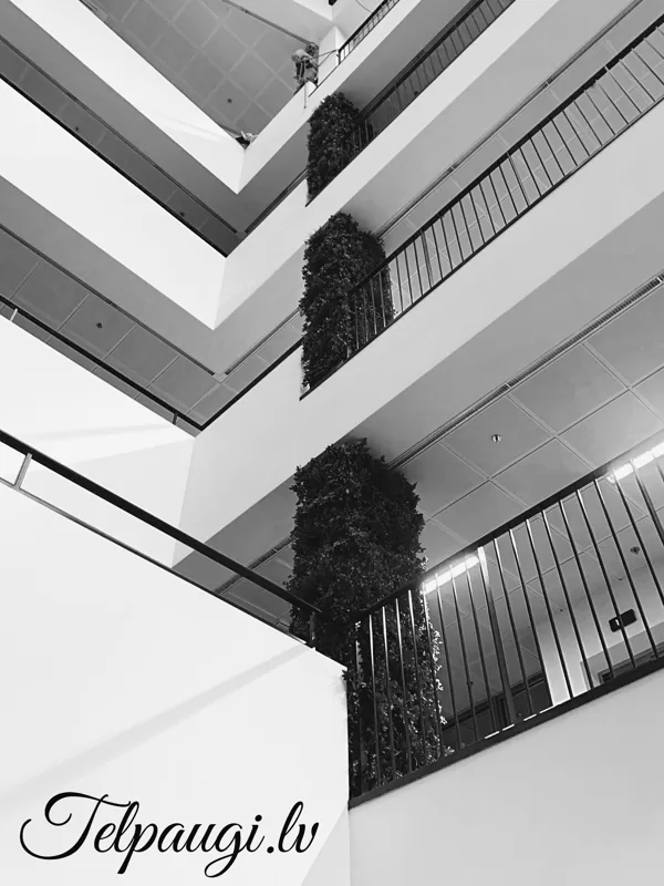 Skanstes City column of artificial plants