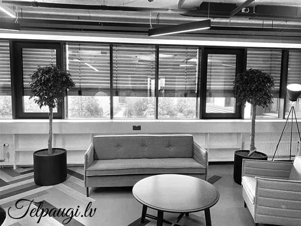 Finko office