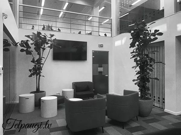 SEB Finanzzentrum